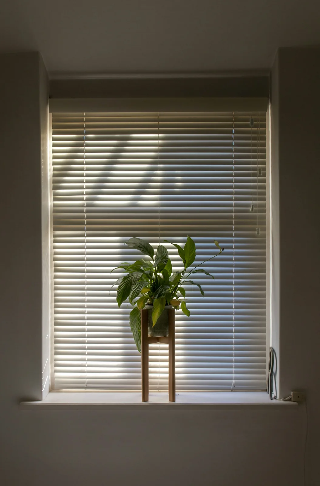 Installed window blinds in a room