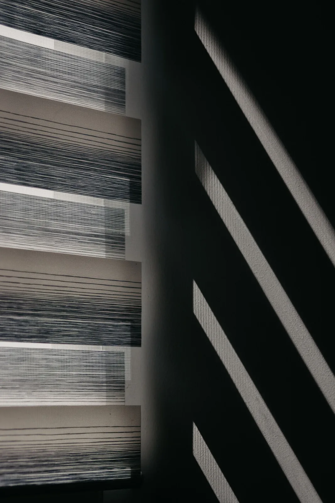 Roller shades beside a window